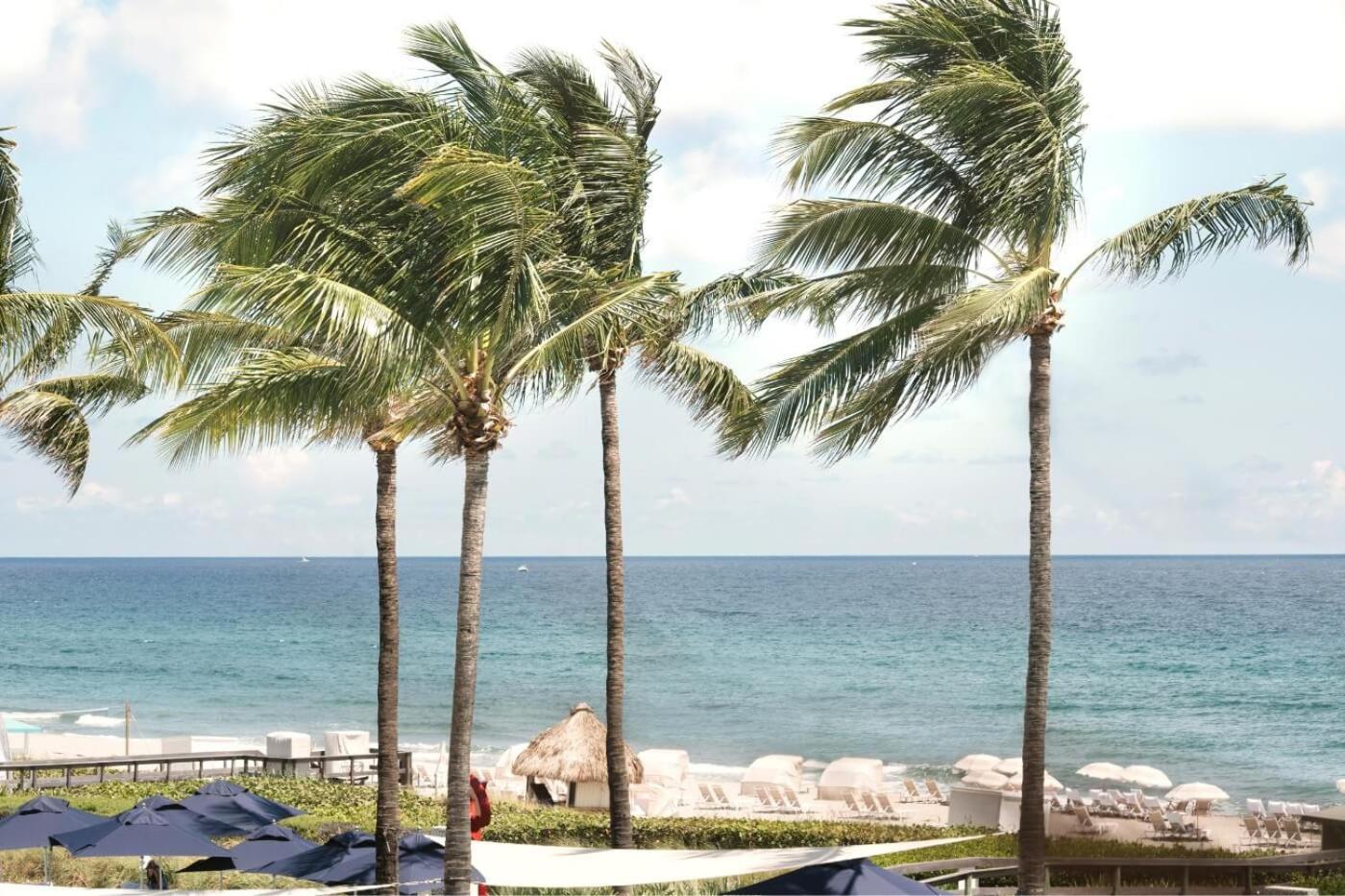 Beach Club At The Boca Ratón Exterior foto